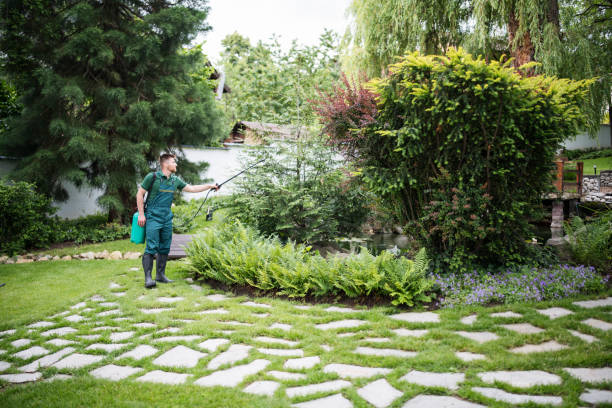 Pest Prevention Services in Cambridge, MN
