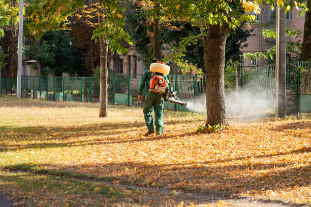 Wasp Removal Services in Cambridge, MN