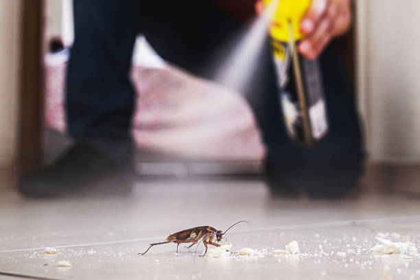 Best Pest Prevention Services  in Cambridge, MN