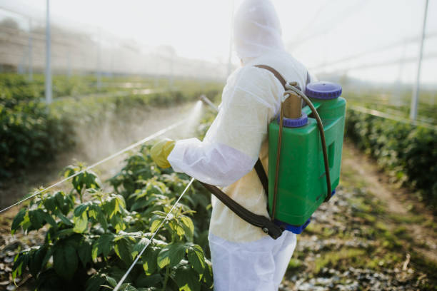 Best Wasp Removal Services  in Cambridge, MN